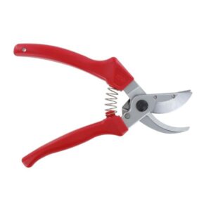 ARS 120eu-R-2-1