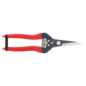 ARS Fruitschaar 300L