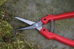 ARS Fruitschaar SE-45