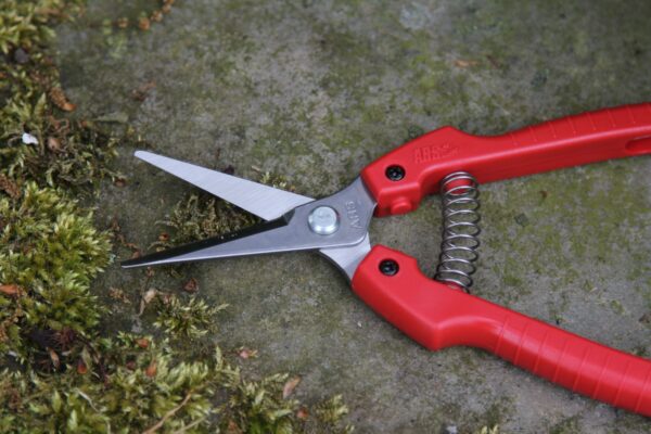 ARS Fruitschaar SE-45