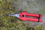 ARS Fruitschaar SE-45