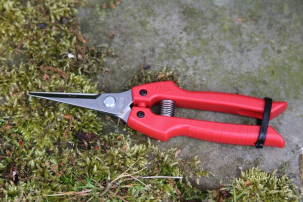 ARS Fruitschaar SE-45