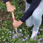 Sneeboer Handspade (geregistreerd model)