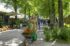 Appeltern Plantenfestijn 2026 – 1