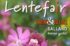 Lentefair Arjan Schepers 2026 – 1